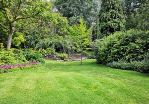 Optimiser l'expérience du jardin à Bosquentin