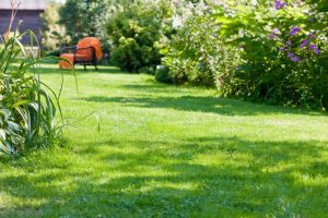 travaux jardin et paysage Bosquentin